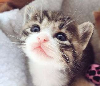 學習CAD!每天五個小技巧!這個系列趕快收藏!