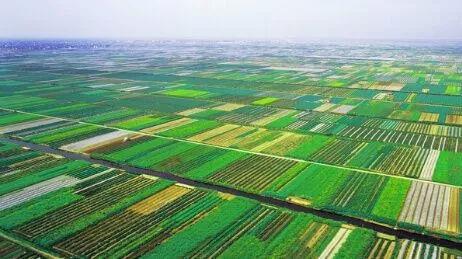 三調(diào)將以“六統(tǒng)一”的自然資源調(diào)查監(jiān)測(cè)體系全面開展 三調(diào)將以“六統(tǒng)一”的自然資源調(diào)查監(jiān)測(cè)體系全面開展